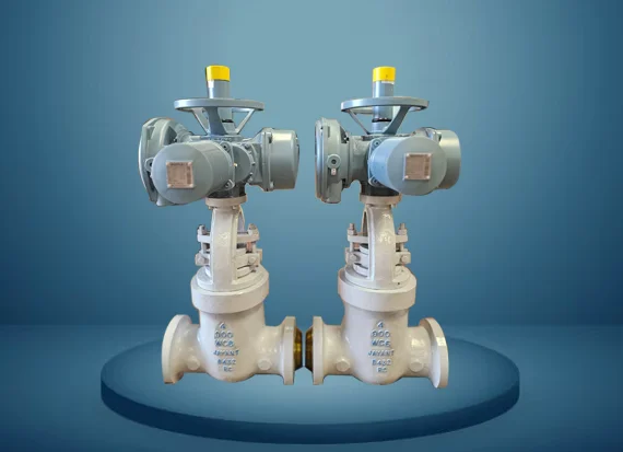 Pressure Seal Valves In India
  